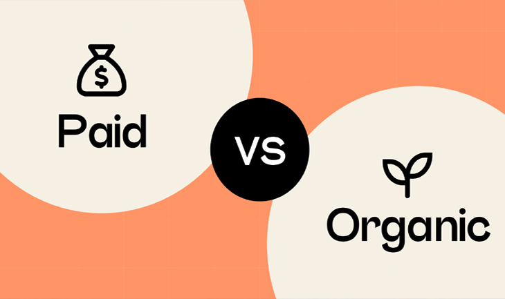 What is the difference between organic and paid results