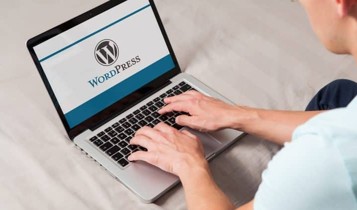 Wordpress Developer Course